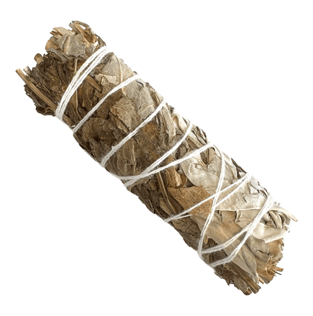 Sauge blanche & Menthe Poivrée Fagot 25-30g