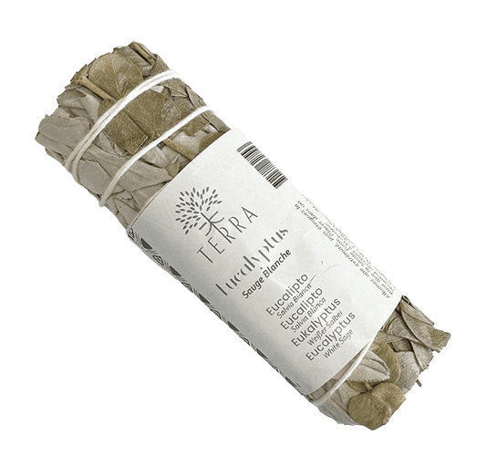 Sauge blanche & Eucalyptus fagot 25-30g