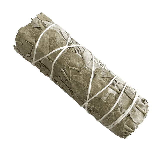 Sauge blanche & Eucalyptus fagot 25-30g